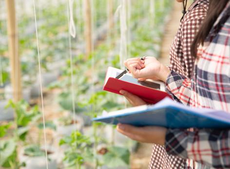 PSN/PAC 2023-2027 "Formazione degli imprenditori agricoli, degli addetti alle imprese operanti nei settori agricoltura, zootecnia, industrie alimentari, e degli altri soggetti privati e pubblici funzionali allo sviluppo delle aree rurali" 