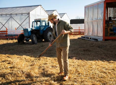 Finanziamento a fondo perduto in sostegno all’insediamento di giovani agricoltori