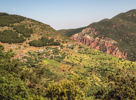 Finanziamento a fondo perduto per il pagamento compensativo per le zone montane