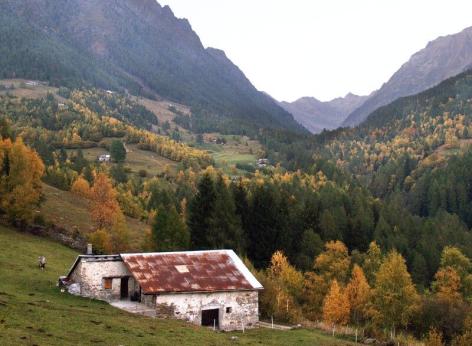 Allevamenti zootecnici in aree montane - Edizione 2026