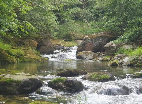 Finanziamento a fondo perduto in sostegno a investimenti per la qualità delle acque e della biodiversità. Bando Infrastrutture Blu.