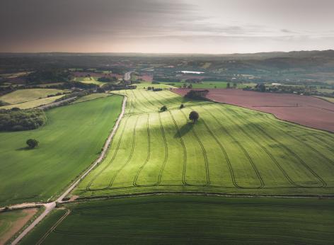 Contributi economici per la ricomposizione fondiaria delle aree agricole lombarde 