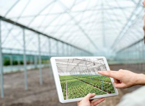 SRG08 - Sostegno ad azioni pilota e di collaudo dell’innovazione