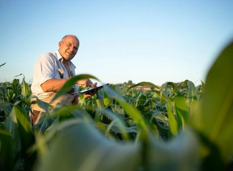 Investimenti produttivi agricoli per la competitività delle aziende agricole