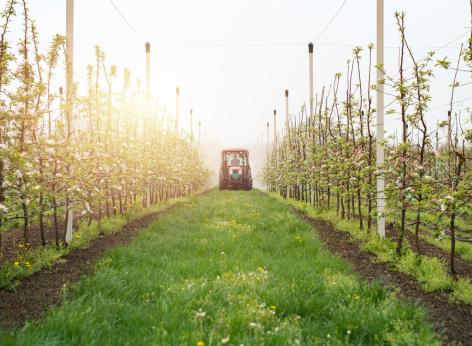 Innovazione e meccanizzazione nel settore agricolo e alimentare