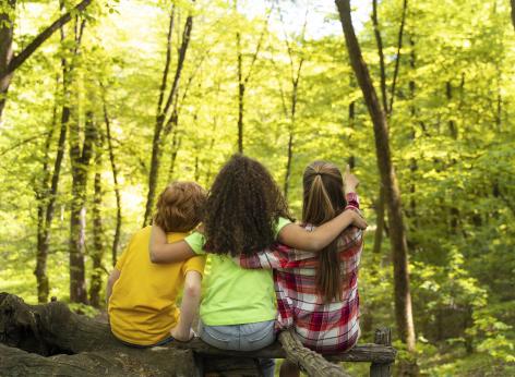  PR FESR 2021-2027. Azione II.2vii.1. Finanziamento a fondo perduto in sostegno all’implementazione della biodiversità sul territorio regionale.