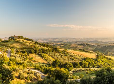 PSR 2023-2027. Intervento SRD04 – Azione 1. Finanziamento a fondo perduto in sostegno a investimenti non produttivi finalizzati a preservare il paesaggio rurale. Anno 2025