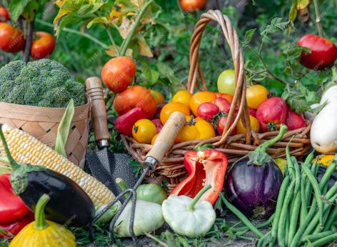 Avviso per la selezione di proposte progettuali da parte di Distretti biologici per favorire le forme di produzione agricola a  ridotto impatto ambientale e per la promozione di filiere e Distretti di agricoltura biologica