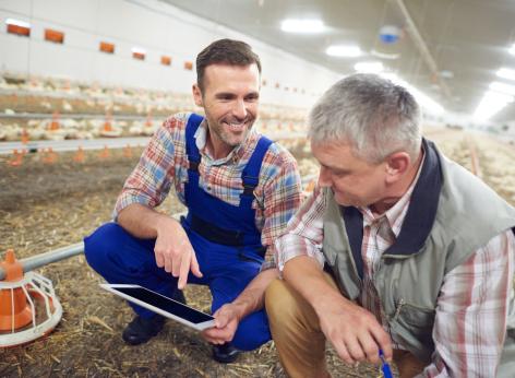 Misura regionale di sostegno ai servizi di sostituzione in agricoltura