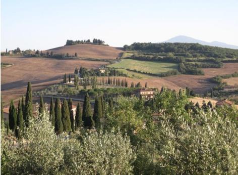 Bando "Ambiente Bene Comune" finanziamento a fondo perduto per progetti di valorizzazione della biodiversità