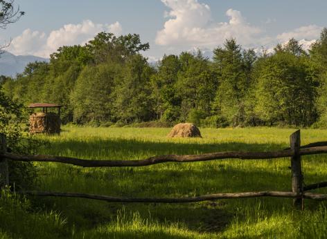 Miglioramento della coesistenza tra l'agricoltura, gli allevamenti e la fauna selvatica